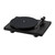 Pro-Ject Debut Carbon Evo Vinyl Player Turntable for sale with Crypto Emporium