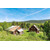 5 Bedroom Farm with 35 Acres of Land in Norway for sale with Crypto Emporium