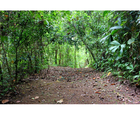 178 Hectares of Land in Costa Rica for sale with Crypto Emporium