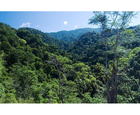 178 Hectares of Land in Costa Rica for sale with Crypto Emporium