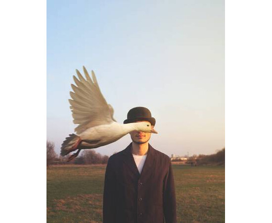 Untitled Goose Art - Edition of 25 Photograph Simon McCheung for sale with Crypto Emporium