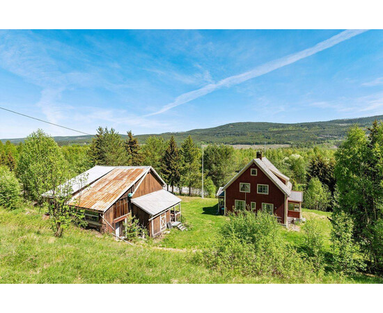 5 Bedroom Farm with 35 Acres of Land in Norway for sale with Crypto Emporium