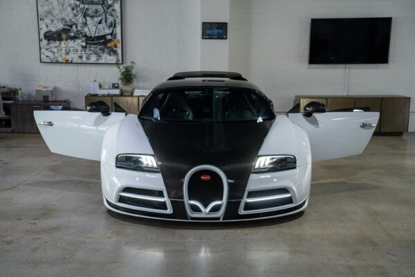 Bugatti Veyron front exterior door