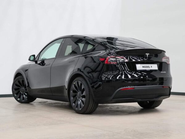 Tesla Model Y back