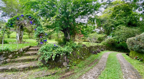 Anton Valley House Landscape Garden