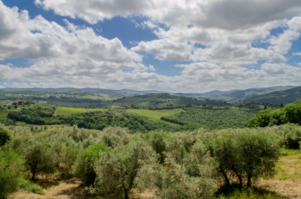 Farmhouse Florence Land