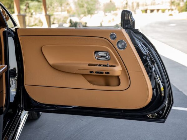 Rolls-Royce Spectre door