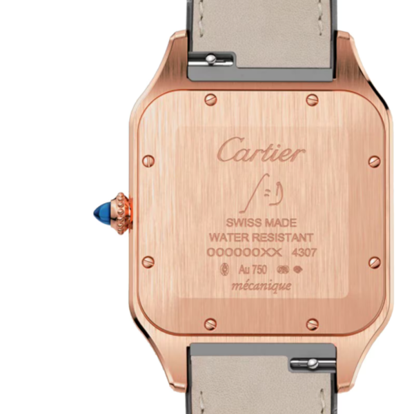 Cartier Santos back case