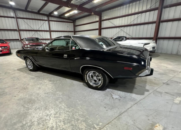 Dodge Challenger back side exterior