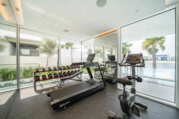 Dubai United Arab Emirates Villa fitness room