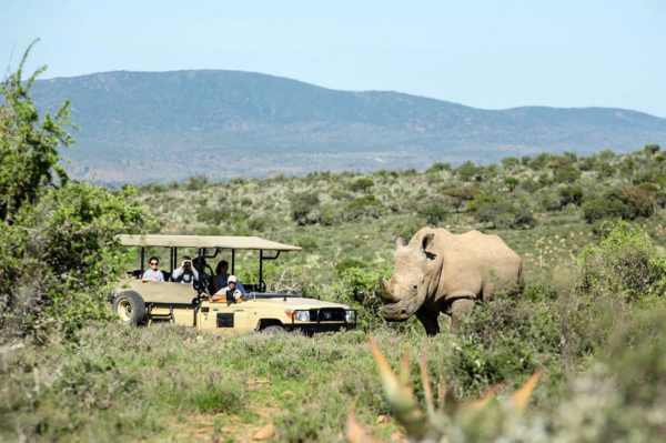 Eastern Cape South Africa Mansion wildlife