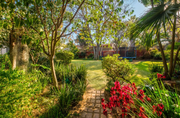 Gauteng South Africa House garden