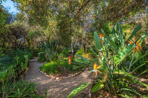 Johannesburg South Africa House garden