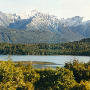 Patagonia Argentina Land