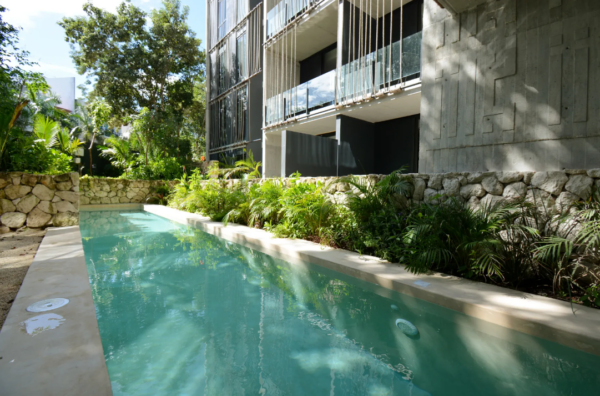 Tulum Mexico Apartment swimming pool