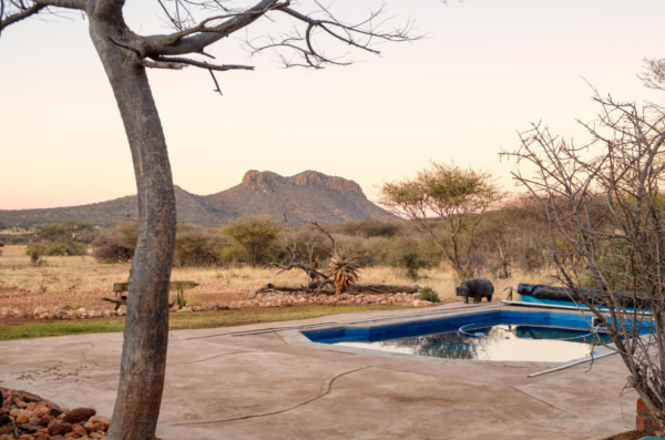 Windhoek Namibia Estate swimming pool