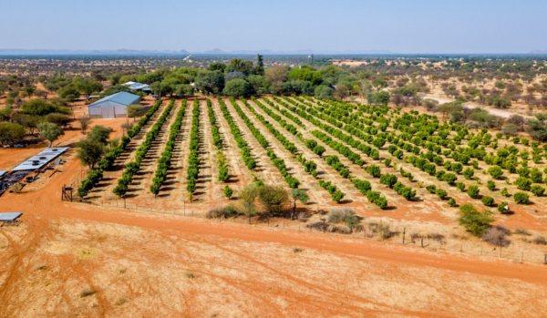 Windhoek Namibia Estate