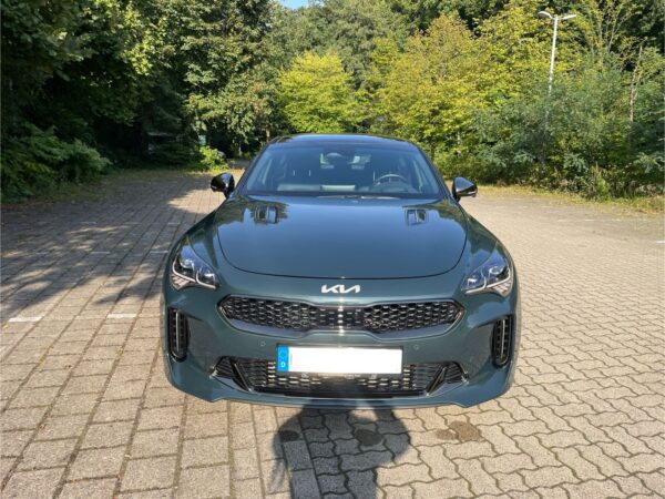 Panoramic Roof front