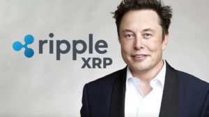 elon musk XRP,