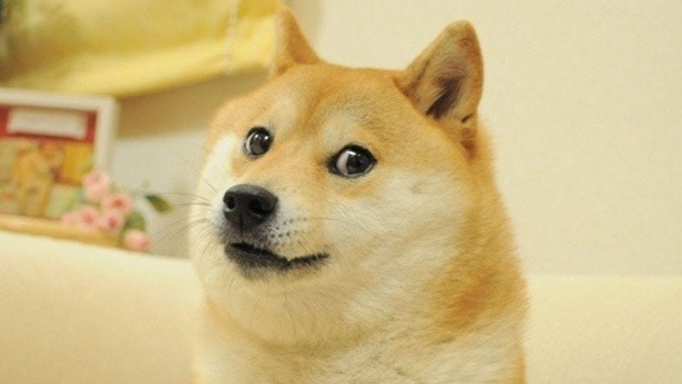 dogecoin, dogecoin v4