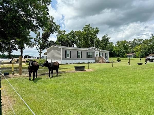 Georgia United States House farm