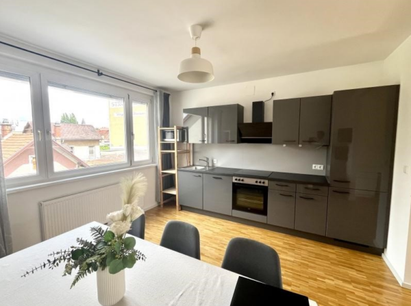 Graz Austria Apartment dining room, kitchen