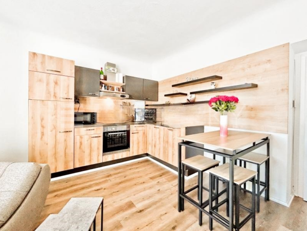 Vienna Austria Apartment kitchen, dining room